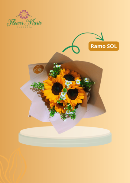 RAMO SOLE